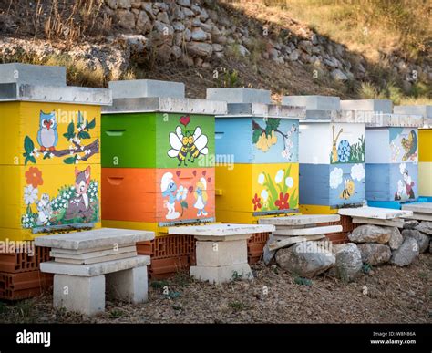 Bienenstöcke in der Nähe von Photovoltaikanlagen