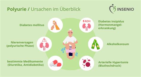 Infografik: Ursachen und Arten der Polyurie