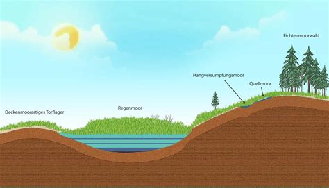 Schema der Wärmeabgabe von Moor im Vergleich zu Wasser