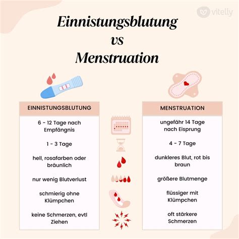 Grafik, die den möglichen Zeitrahmen für Einnistungsblutung und Schwangerschaftstest im Verhältnis zum Menstruationszyklus zeigt.