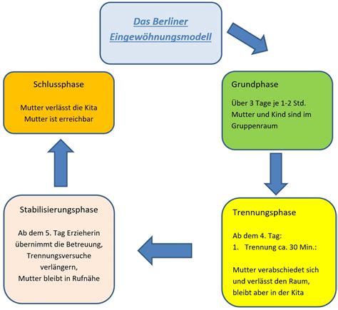 Schema der drei Phasen der Eingewöhnung (Beobachtung, Mitmachen, Trennung)