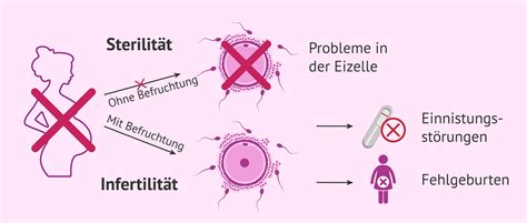 Grafik zur Definition von sekundärer Sterilität