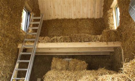 Eine Stute in einer Geburtsbox mit Stroh