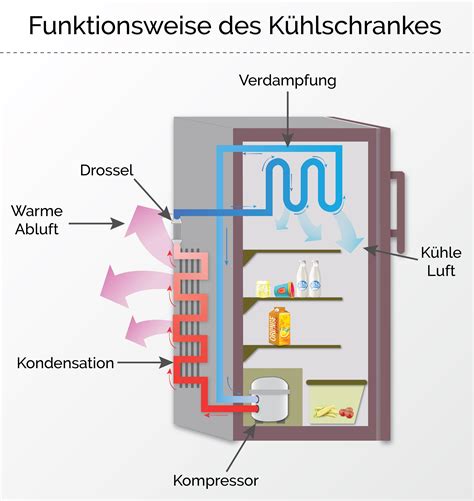 Schema eines Dampfsterilisators mit Beschriftung der Komponenten