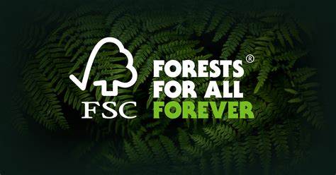 Detailaufnahme des FSC® 100% zertifizierten Holzes und des Doppelverriegelungssystems des Safety 1st Bettgitters.