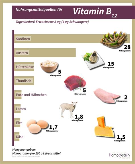 Infografik mit Lebensmitteln, die reich an Folsäure, Vitamin B12 und B6 sind
