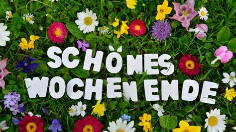 Schema des Kursablaufs am Wochenende mit Hauptthemen