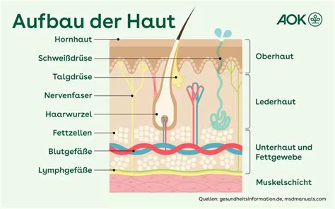 Schemazeichnung, die das korrekte Auftragen der Lotion auf die Haut zeigt, mit Hervorhebung der Notwendigkeit, die Flasche vor Gebrauch zu schütteln.