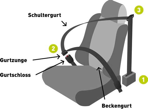 Detailansicht des 5-Punkt-Sicherheitsgurtes und seiner Schnallen
