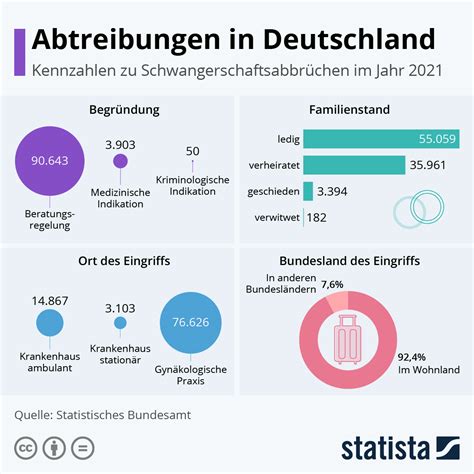 Infografik mit den wichtigsten Statistiken zur Abdeckung von Schwangerschaftsabbrüchen durch öffentliche Krankenhäuser in Deutschland
