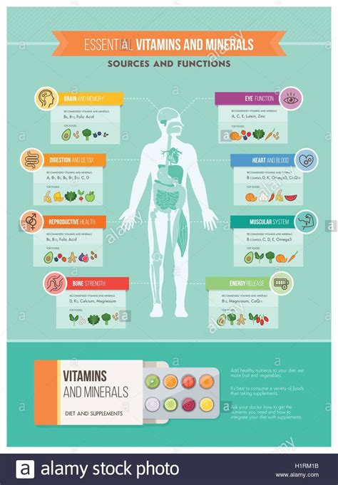 Infografik, die die verschiedenen Vitamine und Mineralstoffe im PUREN Vitalstoffkomplex und ihre Funktionen im Körper darstellt.