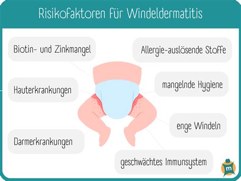 Infografik mit den wichtigsten Tipps zur Vorbeugung von Windeldermatitis: häufiges Wickeln, sanfte Reinigung, Luft an die Haut lassen, atmungsaktive Windeln
