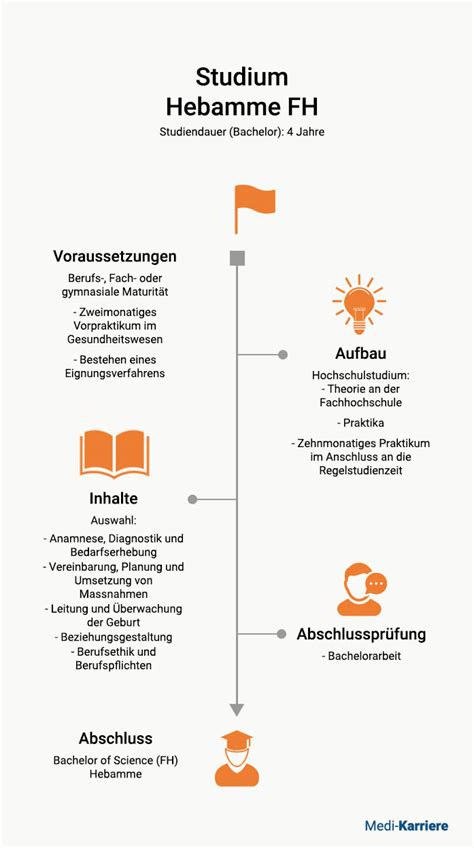 Infografik zu verschiedenen Arbeitsfeldern von Hebammen
