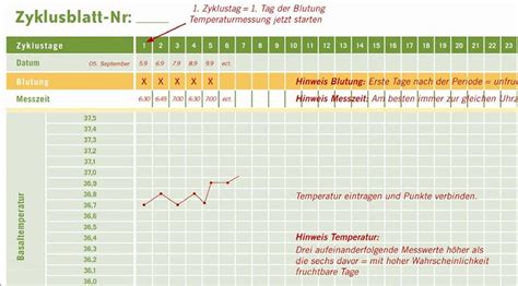 Beispiele für verschiedene Zervixschleim-Eigenschaften und deren Darstellung in einem Zyklusblatt.