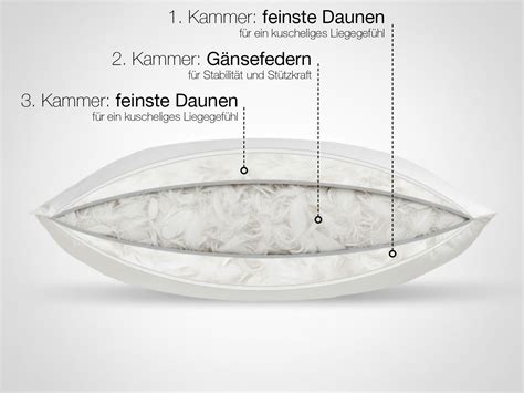 Infografik, die die Vorteile von Daunen- und Faserkissen vergleicht
