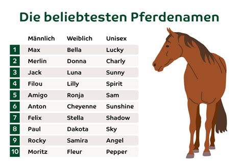 Symbolischer Stern mit dem Namen Luan Elyas