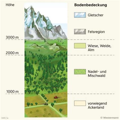 Eine Illustration, die die drei Höhenstufen des Mokee Babybettes und die umwandelbare Seitenwand zeigt.