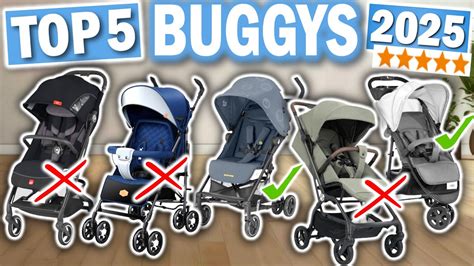 Übersicht der Top 15 Buggys im Vergleich