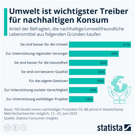Infografik mit den wichtigsten Kriterien beim Kauf von Puppenzubehör: Größe, Sicherheit, Qualität, Vielseitigkeit
