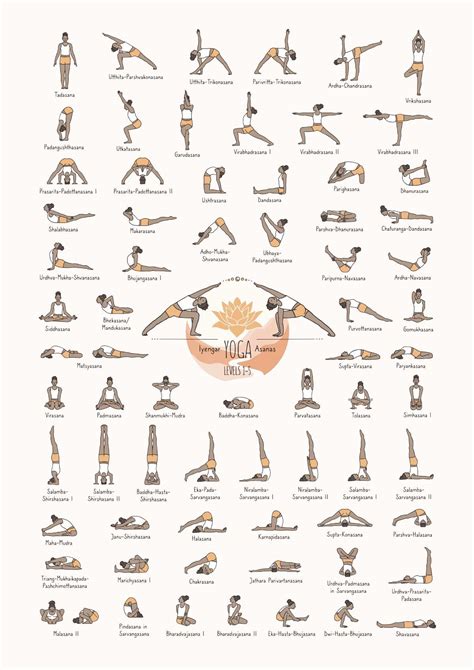 Infografik mit verschiedenen Yoga-Posen für Schwangere