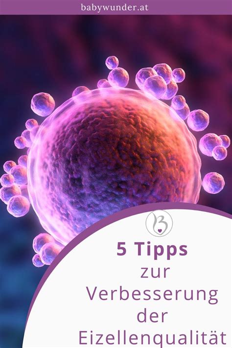 Infografik mit Tipps zur Verbesserung der Eizellenqualität durch Lebensstiländerungen