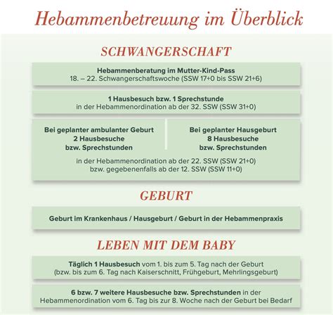 Grafische Darstellung der Hebammenleistungen während der Schwangerschaft und im Wochenbett