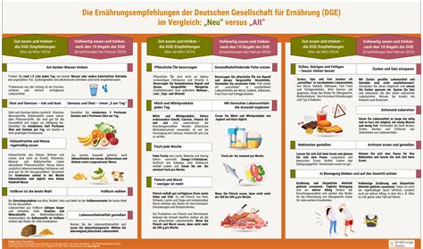 Infografik, die die wichtigsten Empfehlungen der Leopoldina zur Eizellspende zusammenfasst