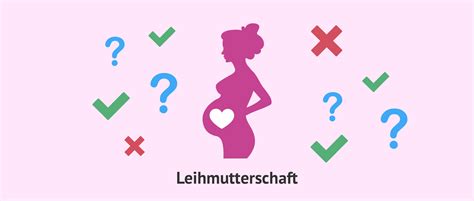 Grafik, die die verschiedenen rechtlichen Positionen zum Verbot der Leihmutterschaft in Deutschland darstellt.