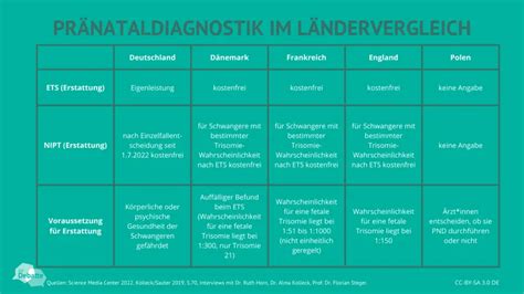 Schema der pränatalen Diagnostikmethoden