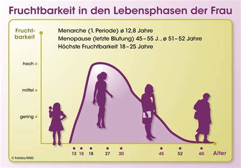 Infografik, die die verschiedenen Stadien der Fruchtbarkeit basierend auf den Clearblue Ovulationstestergebnissen zeigt.