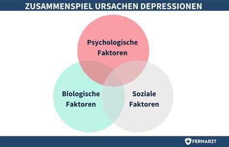 Infografik, die verschiedene Ursachen für Zyklusstörungen auflistet, z.B. hormonelle Ungleichgewichte, Stress, Schilddrüsenprobleme, PCOS.