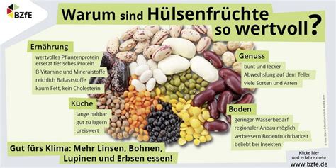 Infografik zu den Vorteilen verschiedener Füllmaterialien für Fußsäcke
