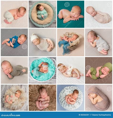 Collage aus Fotos von Neugeborenen und glücklichen Familien, die von einer Hebamme betreut werden.
