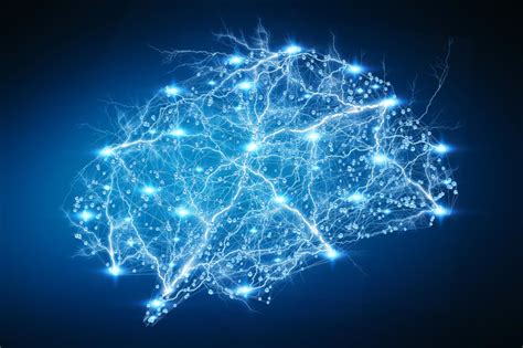 Grafik: Neuronale Verbindungen im Gehirn und die Rolle der Bewegung