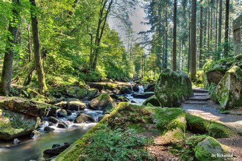 Landschaft im Nationalpark Bayerischer Wald