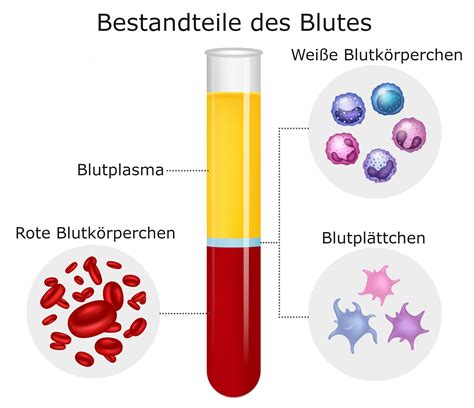 Schema, das die Zusammensetzung von Anti-Reflux-Nahrung erklärt