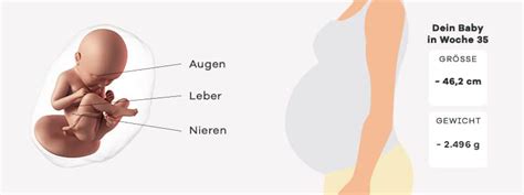 Checkliste für die Vorbereitung auf die Geburt in der 35. SSW