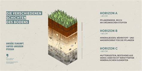 Infografik über die Schichten eines gesunden Bodens