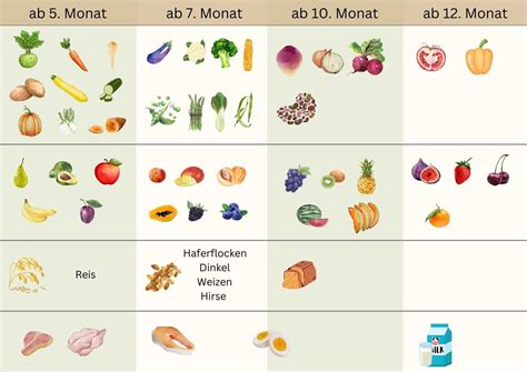 Eine Auswahl an frischem Gemüse und Obst, geeignet für die Beikosteinführung.