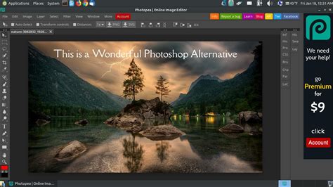 Screenshot von Photopea, der die Stempelfunktion und einen markierten Bereich zeigt