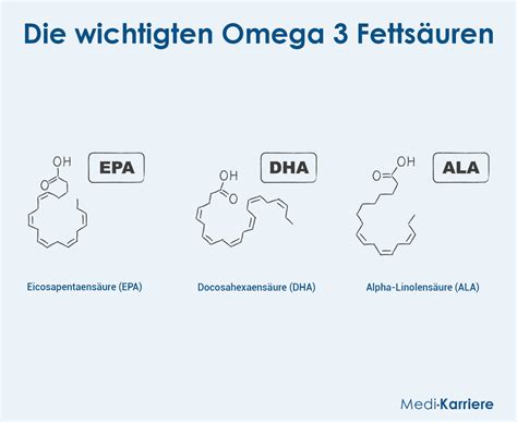 Schema zur Bedeutung von Omega-3-Fettsäuren für die kindliche Entwicklung
