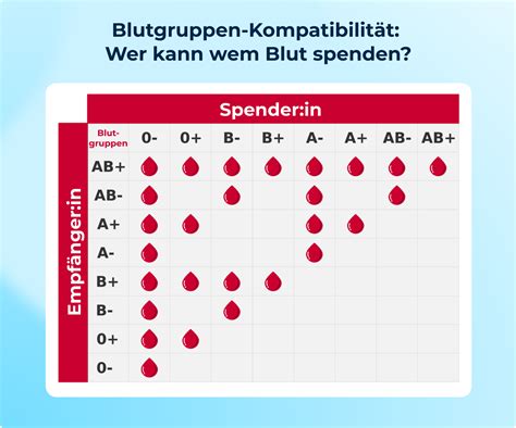 Illustration, die die Kompatibilität von Quinny Dreami Babywannen mit verschiedenen Kinderwagengestellen zeigt