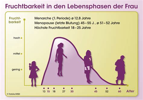 Infografik zur Fruchtbarkeit und den Einflussfaktoren