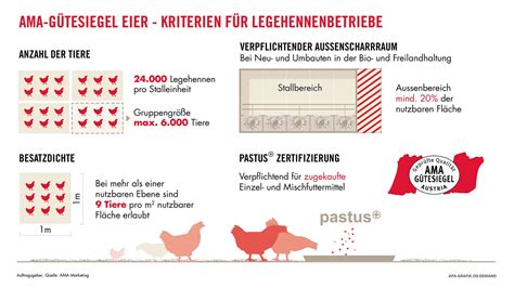 Grafik mit verschiedenen natürlichen Heilmitteln für Zyklusstörungen