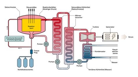 Schema zur Darstellung von Schüßler-Salzen und ihren Anwendungen