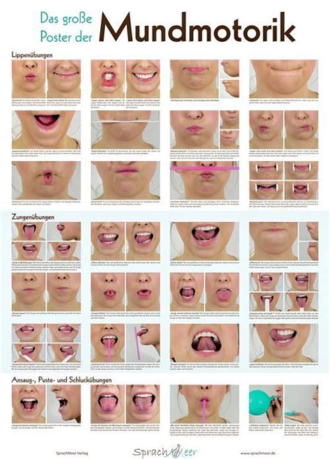 Schema der Mundmotorik eines Babys