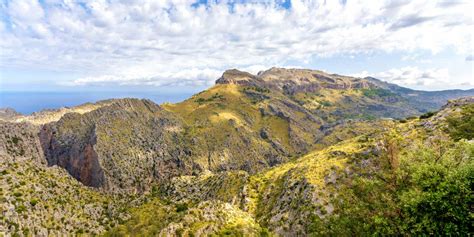 Panoramablick auf die Serra de Tramuntana mit terrassierten Hängen und einem schroffen Gipfel