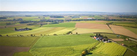 Weite Felder in der Ebene Es Pla mit Mandelbäumen und landwirtschaftlichen Anbauflächen