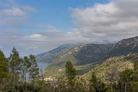Mönchsgeier kreist über den Bergen der Serra de Tramuntana