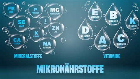 Infografik, die die wichtigsten Makro- und Mikronährstoffe für Pflanzen und ihre Funktionen darstellt